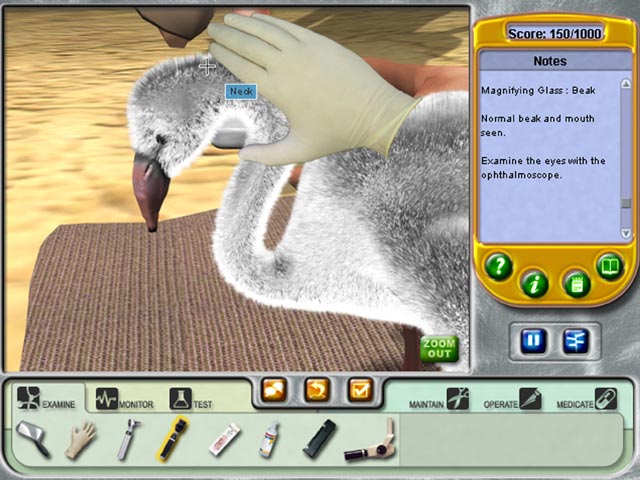 Zoo Vet Screenshot 2