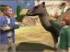 Zoo Vet Screenshot 3